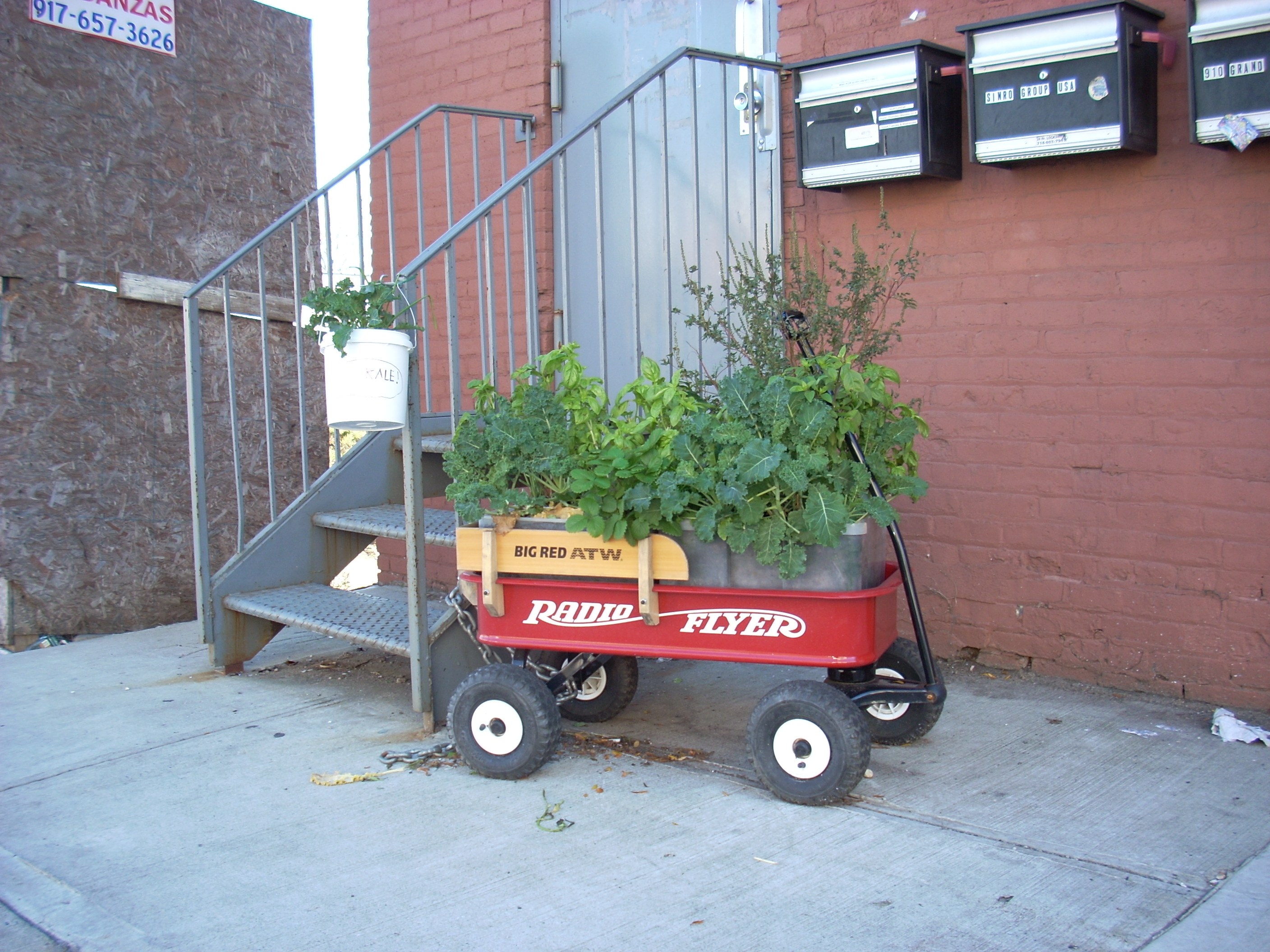 wagon